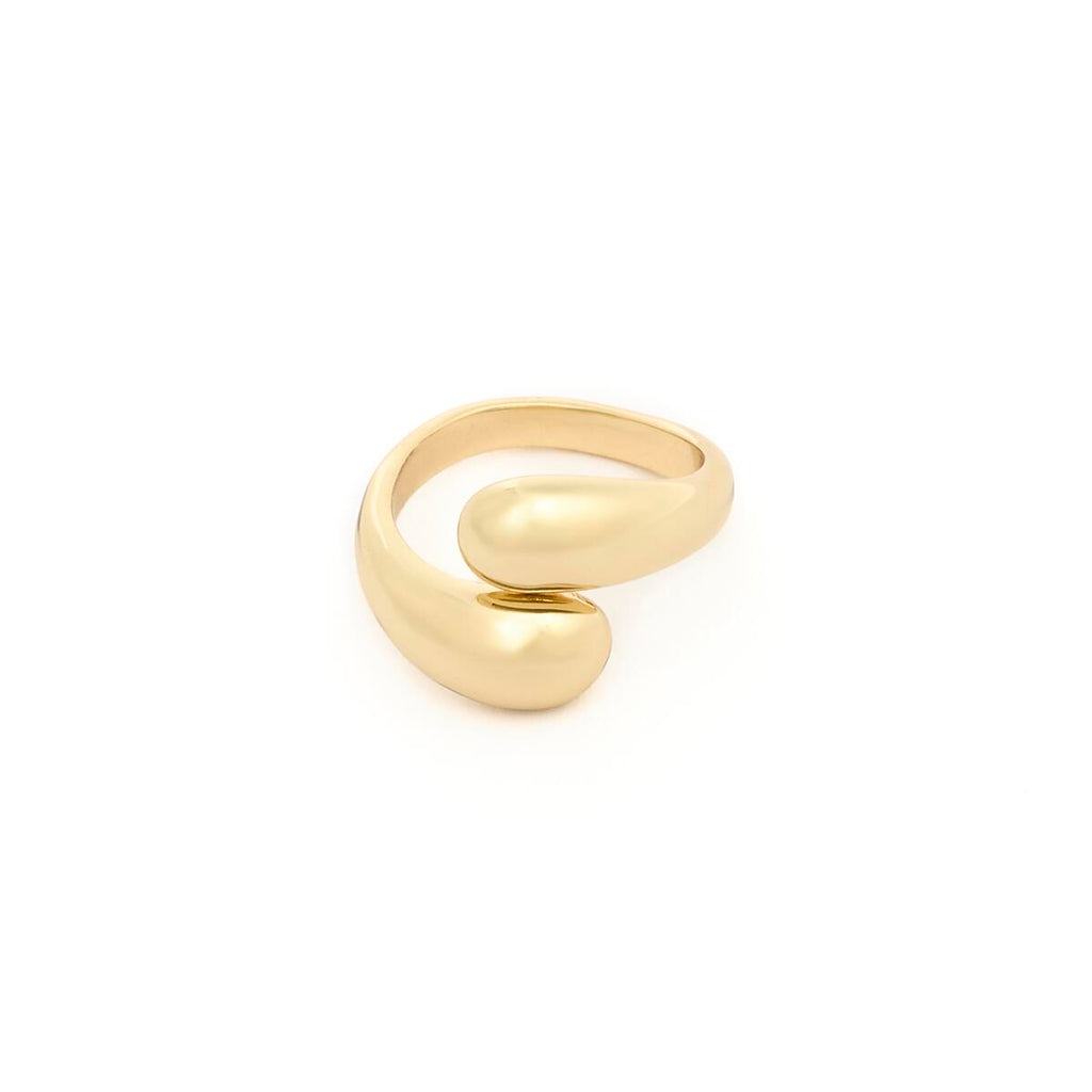 Anillo Dorado de Doble Anillo 1