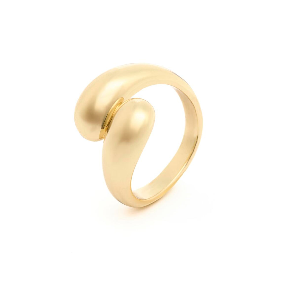 Anillo Dorado de Doble Anillo 2