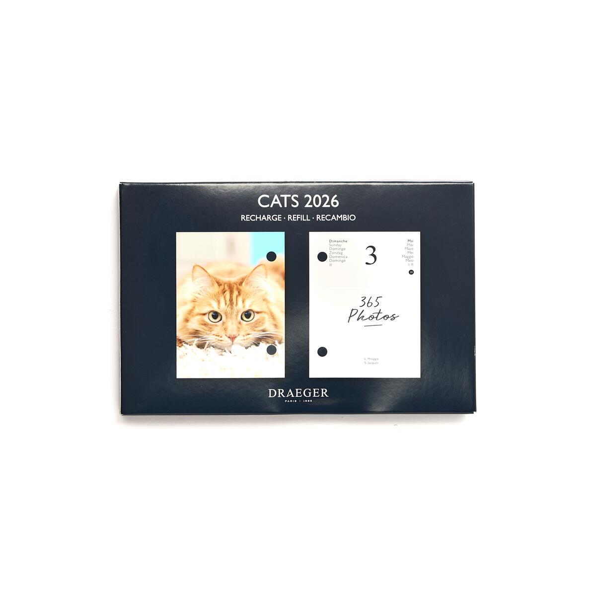 Agenda Efemérides 2026 Recambio para gatos 1