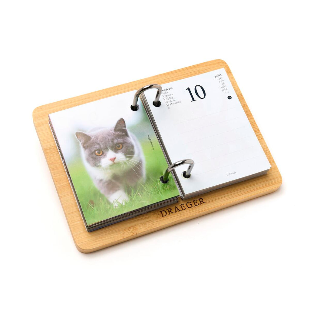 Agenda Efemérides 2026 Recambio para gatos 3