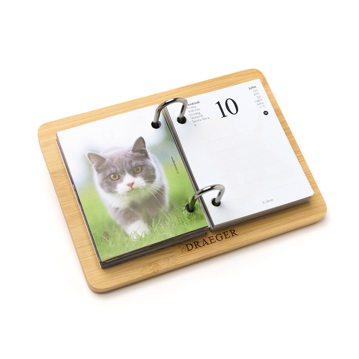 Agenda Efemérides 2026 Recambio para gatos 3