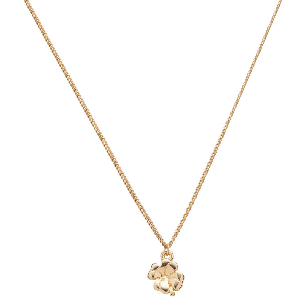 Collar con Simbolo BUENA SUERTE 2