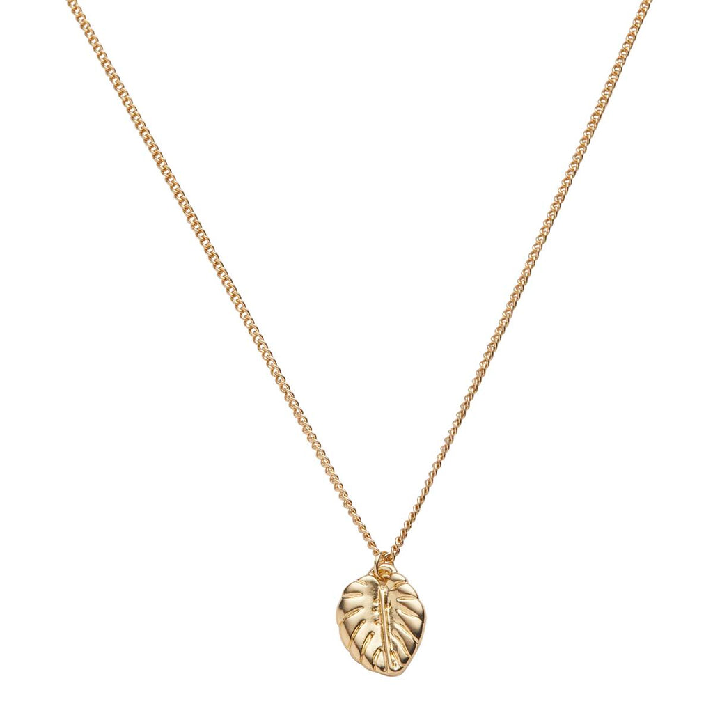Collar con Simbolo HOJA 2