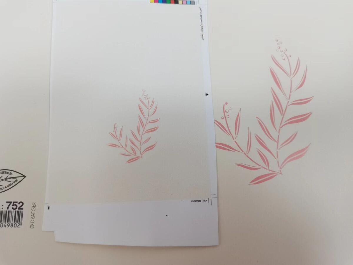 Cuaderno de Notas Daily Journal Blanco 1